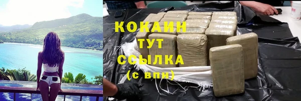 ГАЛЛЮЦИНОГЕННЫЕ ГРИБЫ Бородино