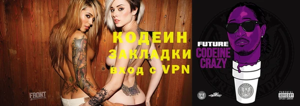 ГАЛЛЮЦИНОГЕННЫЕ ГРИБЫ Бородино
