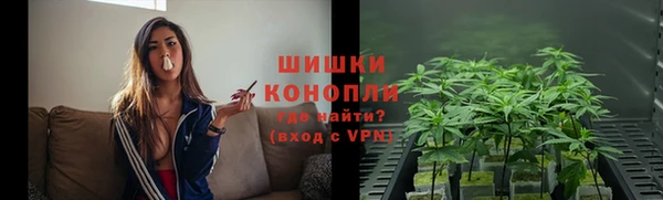 ГАЛЛЮЦИНОГЕННЫЕ ГРИБЫ Бородино