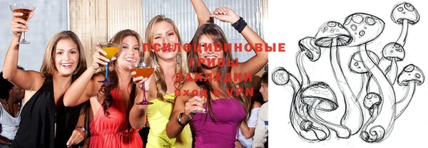мяу мяу мука Бугульма