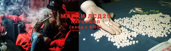 мяу мяу мука Бугульма